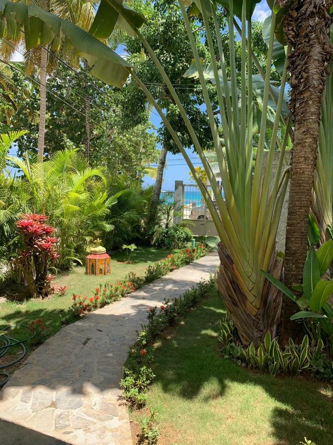 Beach Hotel Casa Nina Las Terrenas Exteriör bild