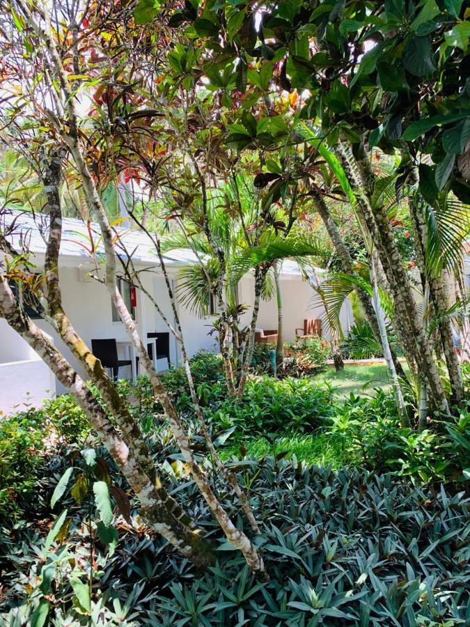 Beach Hotel Casa Nina Las Terrenas Exteriör bild