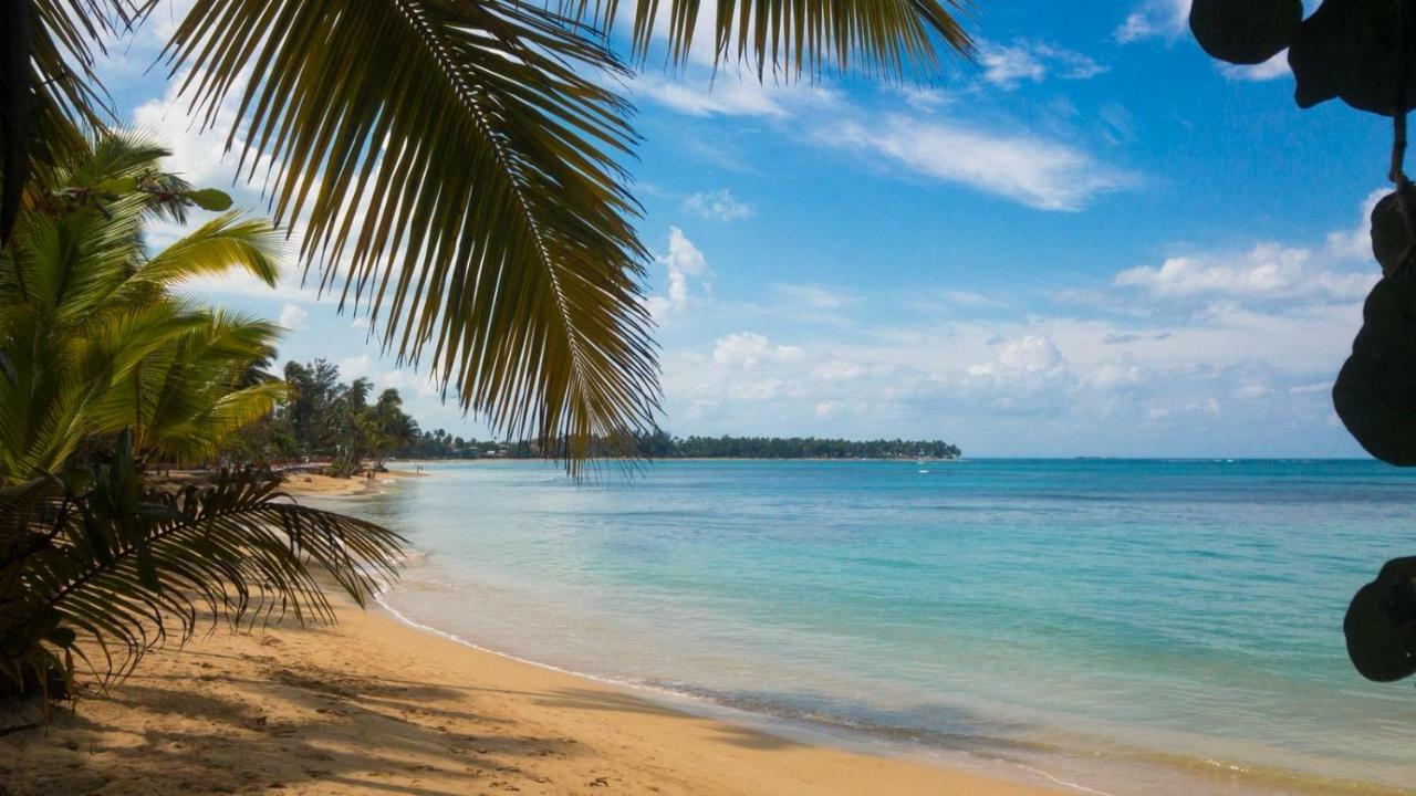 Beach Hotel Casa Nina Las Terrenas Exteriör bild